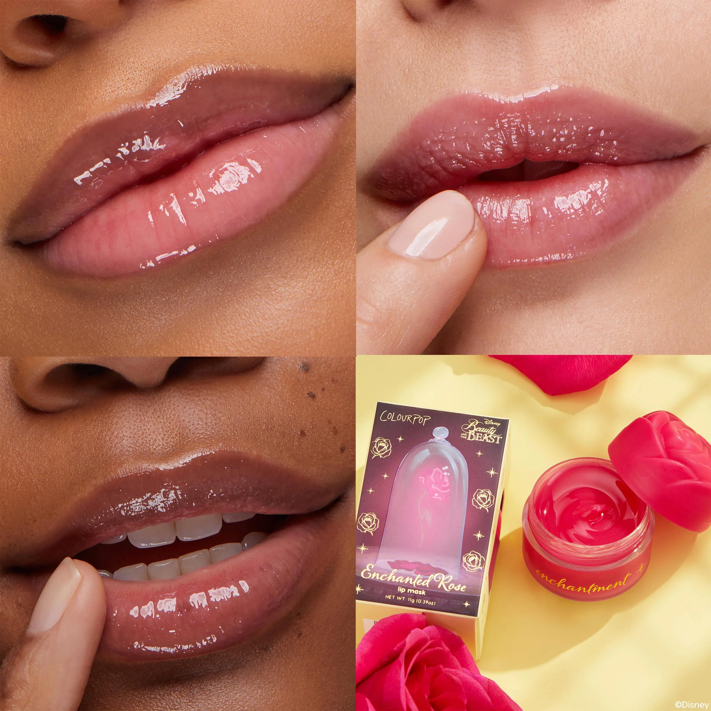 Enchanted Rose - Image 3