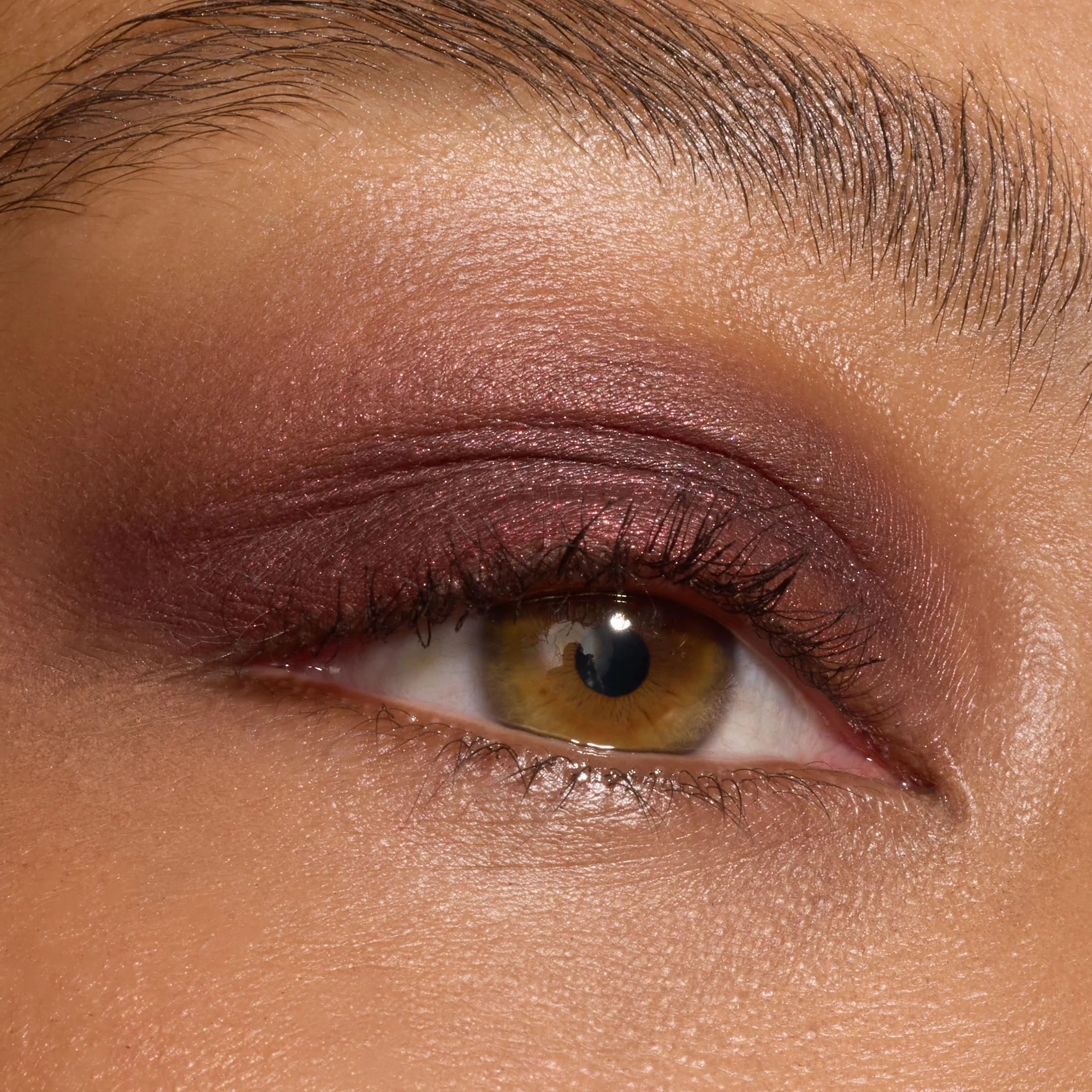 The Volturi - Image 4